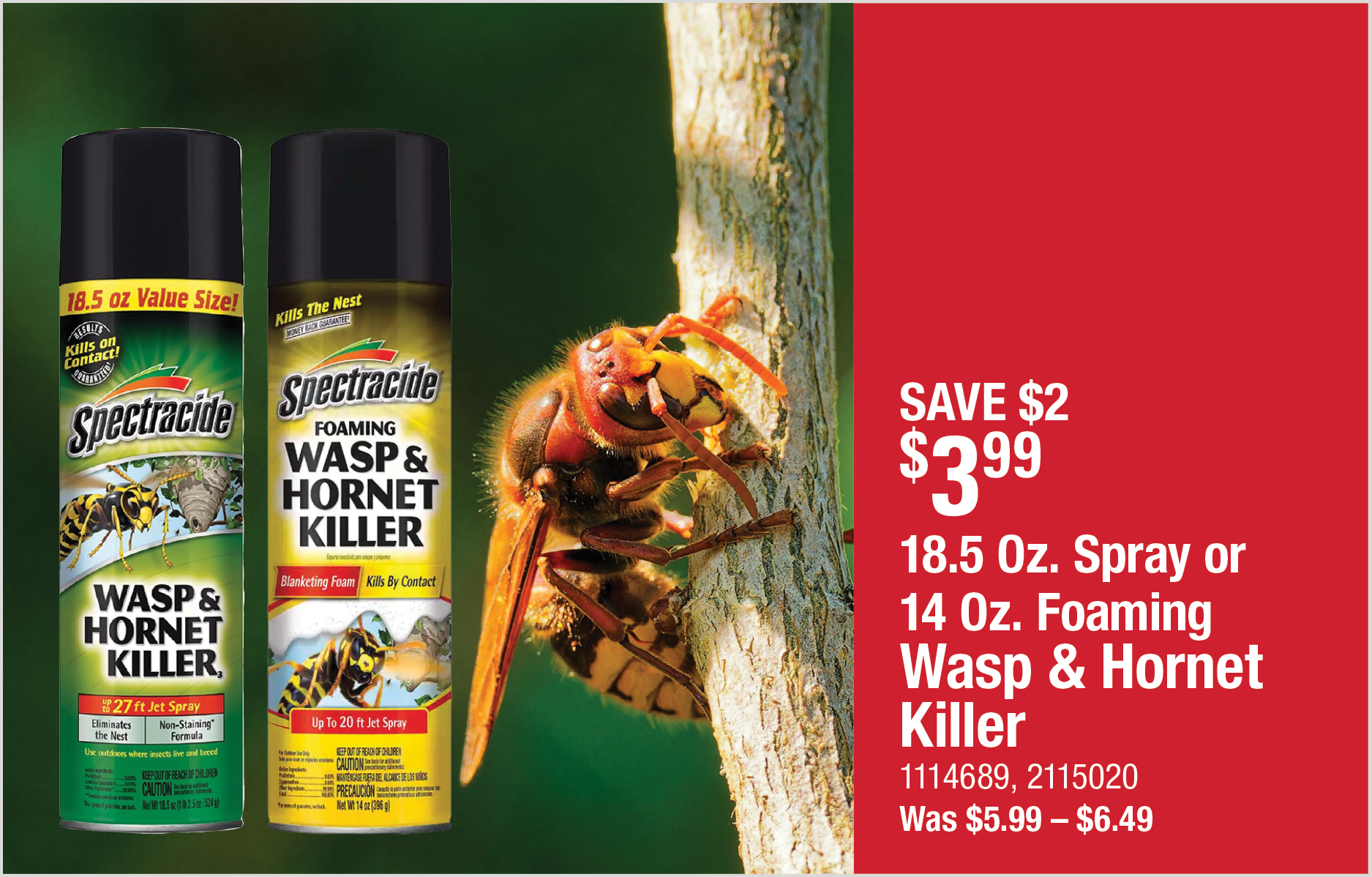 18.5 Oz Spray or 14 Oz. Foaming Wasp & Hornet Killer